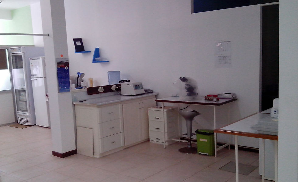 Laboratório 2