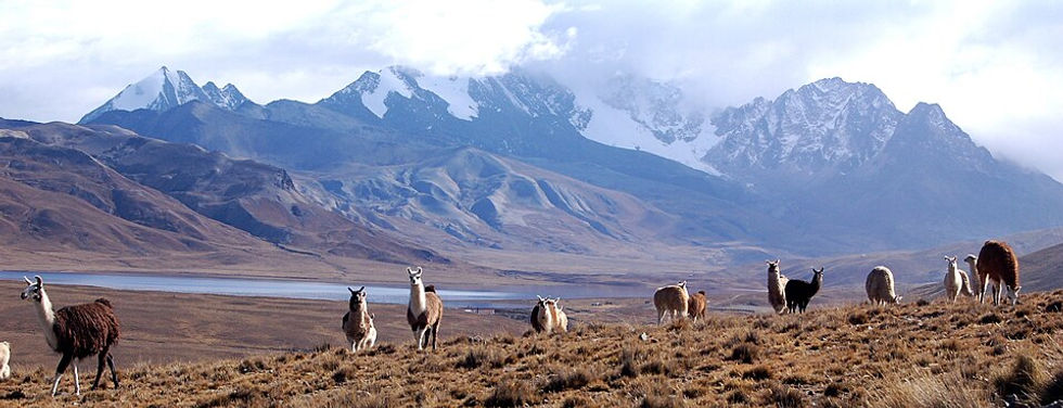 Cordillera de los andes 2.jpg