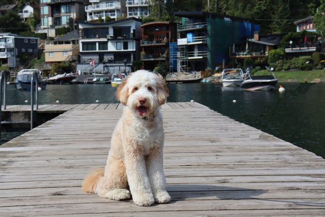 IMG_3296 edited (1).jpg