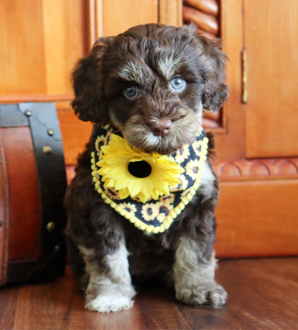 pu dateIMG_5124_edited_edited.png