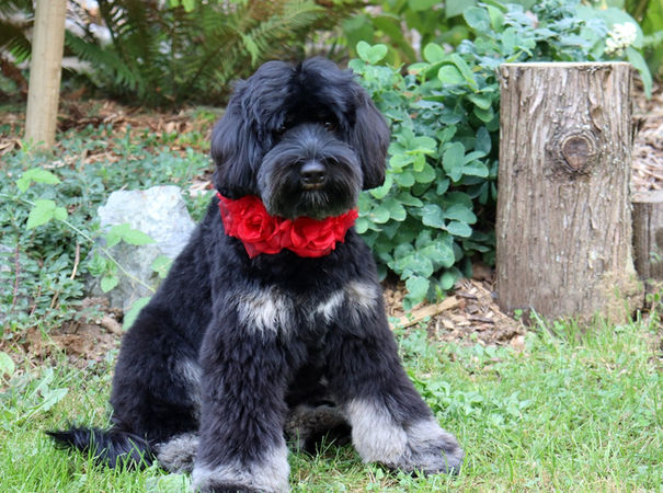 WEB IMG_6699_edited.jpg