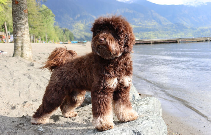 gr IMG_0041_edited.jpg