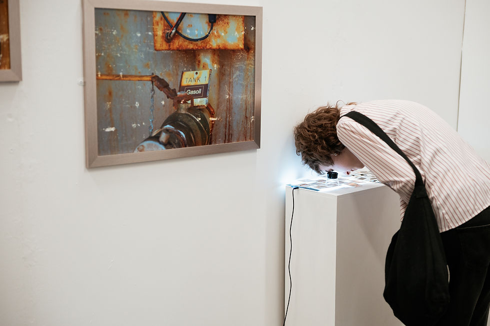 Art Degree Show 2026 _Fine art illlustation photography painting sculpture_-111