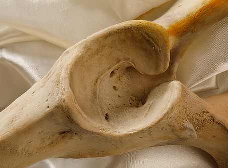 Fine Art Catalogue Shoot0105.jpg