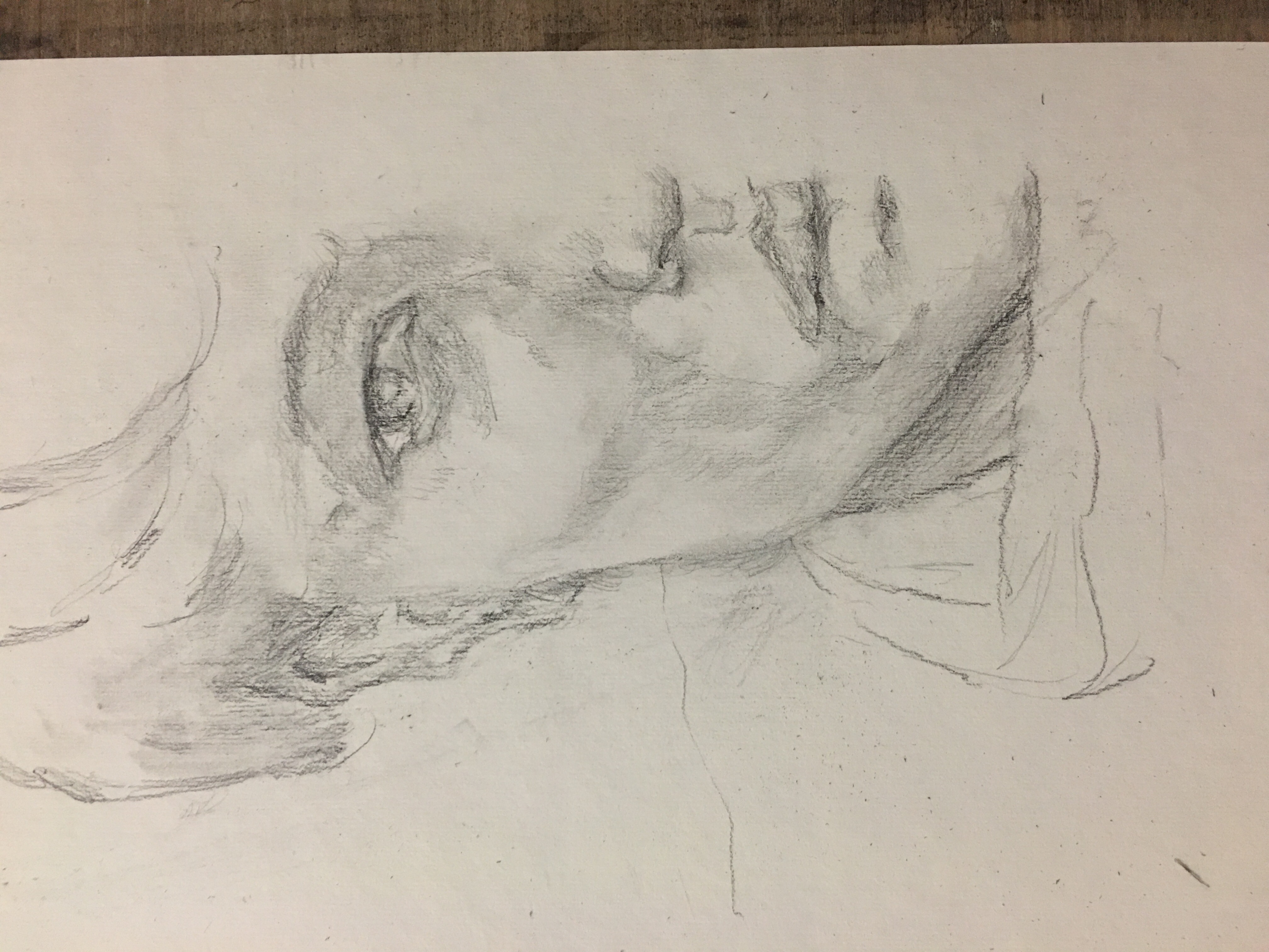 Sketching & Drawing — 7