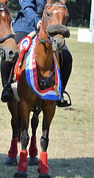 Screen Shot 2020-06-12 at 16.16_edited.jpg