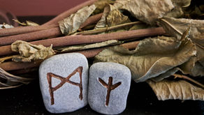 Reflecting on Imbolc 2026