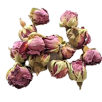 rose buds_edited.png