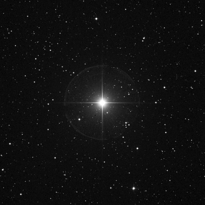 Star 2.gif