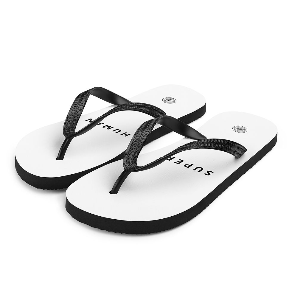 Thumbnail: Flip-Flops