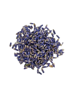 Culinary-Lavender-Bud-English-Lavender_e
