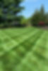 superior-stripe-lawn.jpg