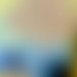 Placenta Tree of Life print with Namaste Birth tincture, cord keepsake, and encapsulated placenta capsules displayed together — symbolizing postpartum healing and holistic care.