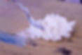 Encaustry__195_edited.jpg