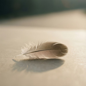 Whispers in the Wind