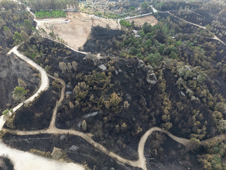 Cidadãos afetados pelo incêndio devem reportar prejuízos até 1 de outubro