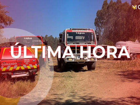 ALERTA: Incêndio consome monte de rama na Catraia de Mouronho