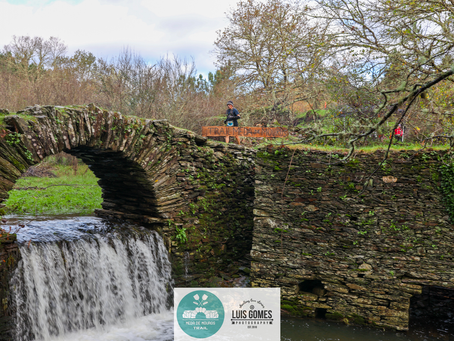 Meda de Mouros Trail trouxe 115 participantes no novo formato em contra-relógio