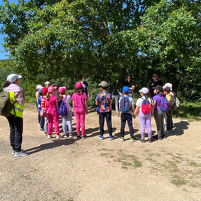 Município de Tábua dinamiza Percursos na Natureza para crianças da Educação Pré-Escolar e do 1.º Ciclo