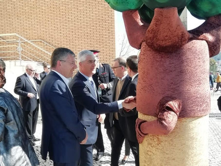 ClimAgir distribui 500 sobreiros em Tábua para proteger a floresta autóctone