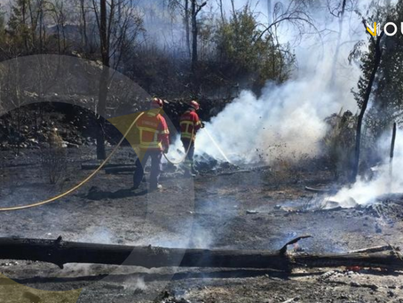Mulher é detida pelo crime de incêndio florestal em Arganil