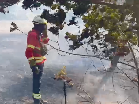 C/Vídeo: Meia centena de bombeiros e dois meios aéreos combatem incêndio em Ázere, Tábua