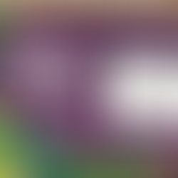 Tábua abre inscrições para o Concurso Rainha das Vindimas