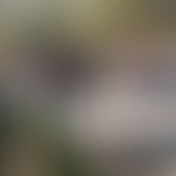 Autarquia de Tábua assina Auto de Consignação para beneficiação do Trilho dos Gaios