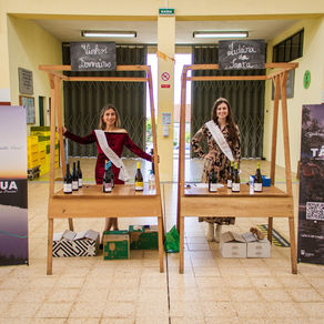 Município assinala Dia Mundial do Enoturismo no Mercado Municipal 