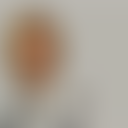 Ministra Ana Abrunhosa marca presença na cerimónia de transferência de competências para freguesias