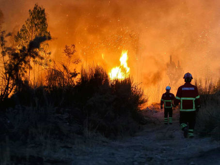 Município de Tábua procede ao levantamento de danos e prejuízos após incêndio