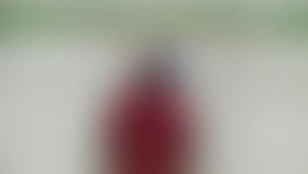 Atelier de renforcement de capacités des parties prenantes au projet APEI