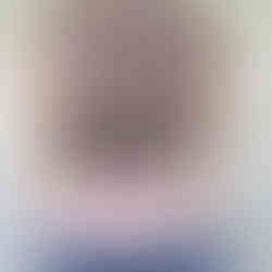 Neko Tiny Trage Test Erfahrung