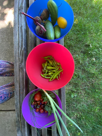 Homegrown tomatoes, onions, cucumbers, beets, shishito peppers and scallions