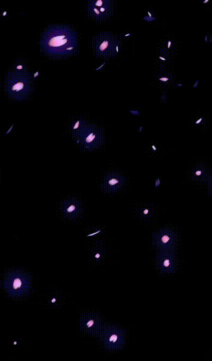 벚꽃 완성.gif