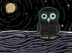 Night owl 2