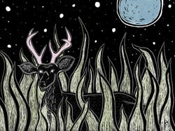 Goodnight_Deer2