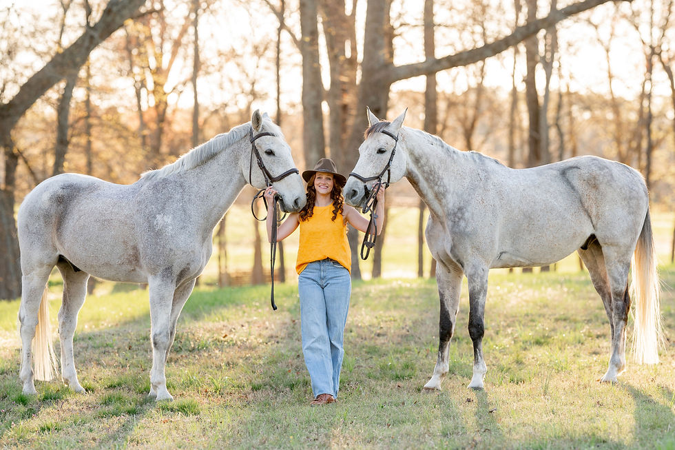 equine senior photos