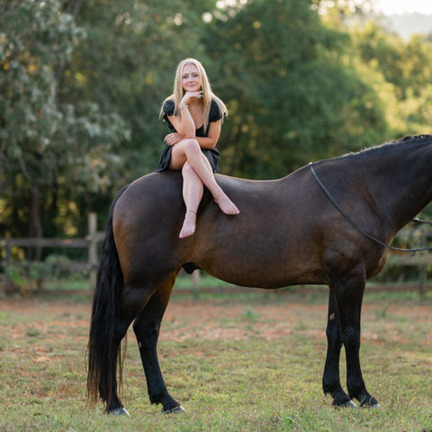 equine portrait photography
