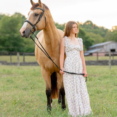 equine portrait photography