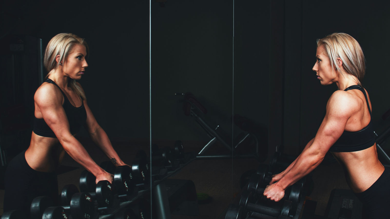 Building Bigger and Stronger: The Science and Art of Muscle Hypertrophy