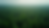High angle view of vast green forest