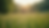 Close-up view of serene nature scene