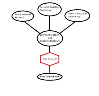 Coaching Flowchart for exercise selection.