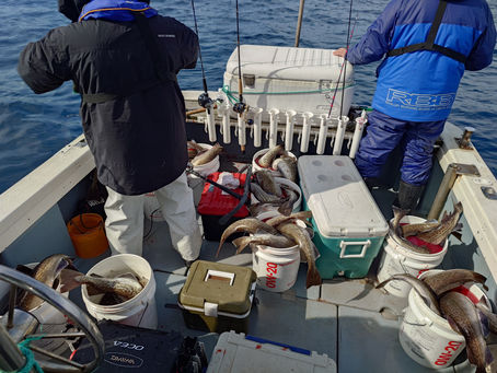 2月22日青森発タラジギング