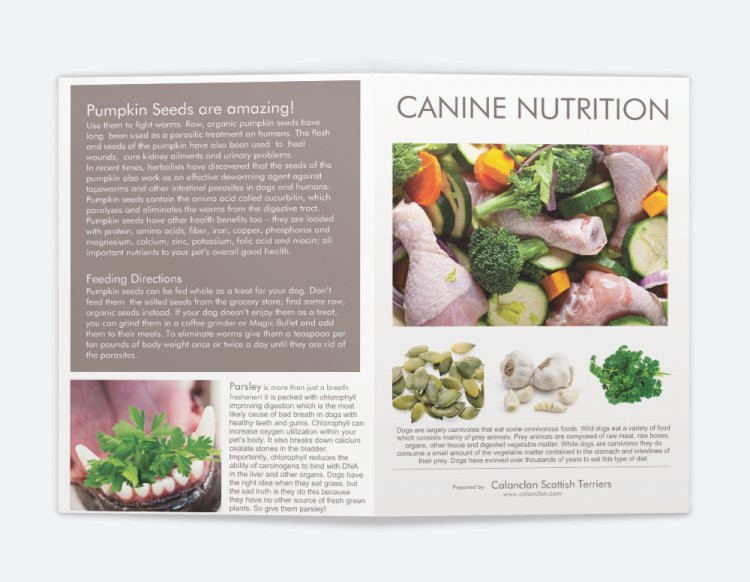 Canine Nutrition Pamphlet