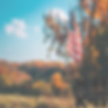 fall_edited.png