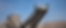 Widescreen 3.png