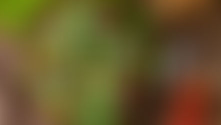 Quick and Healthy Power Meals