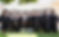 2019.GraduatingClass.jpg
